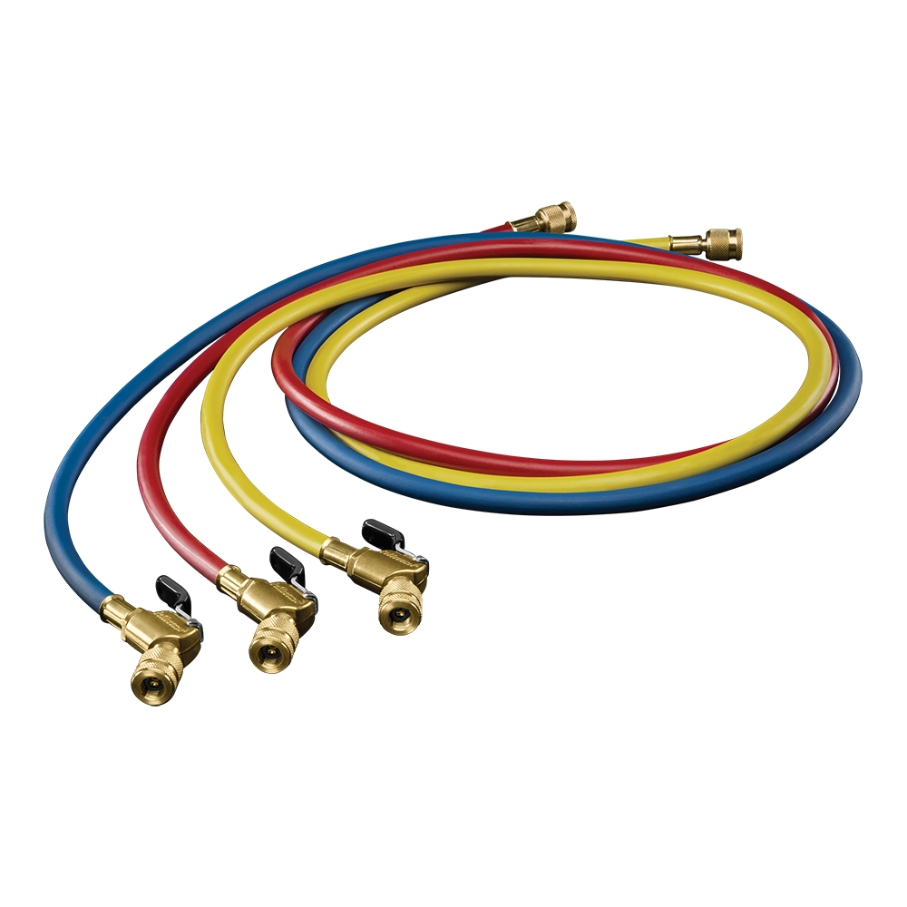 Ball Valve End 60in Hose,4 pc